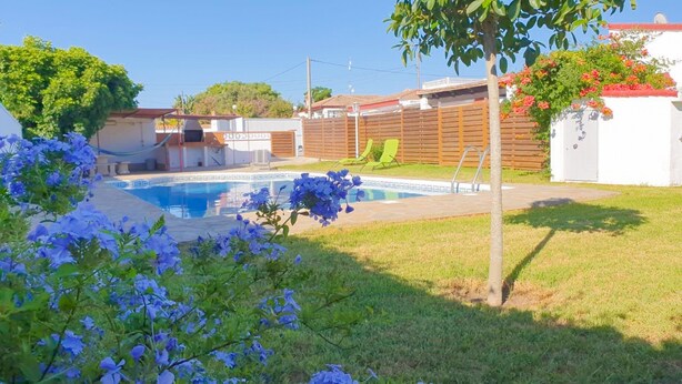 Un jardin à l’arrière de la maison avec une piscine, une clôture en bois et un petit potager où poussent des fleurs bleues.