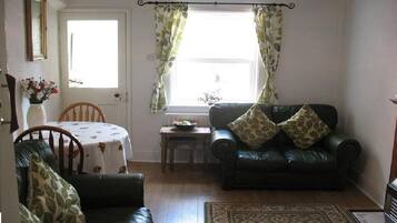 TV, fireplace, DVD player, books