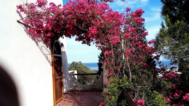 Un estrecho sendero de ladrillo que conduce a un edificio blanco con puerta de madera, rodeado de exuberante vegetación y vibrantes flores rosadas.