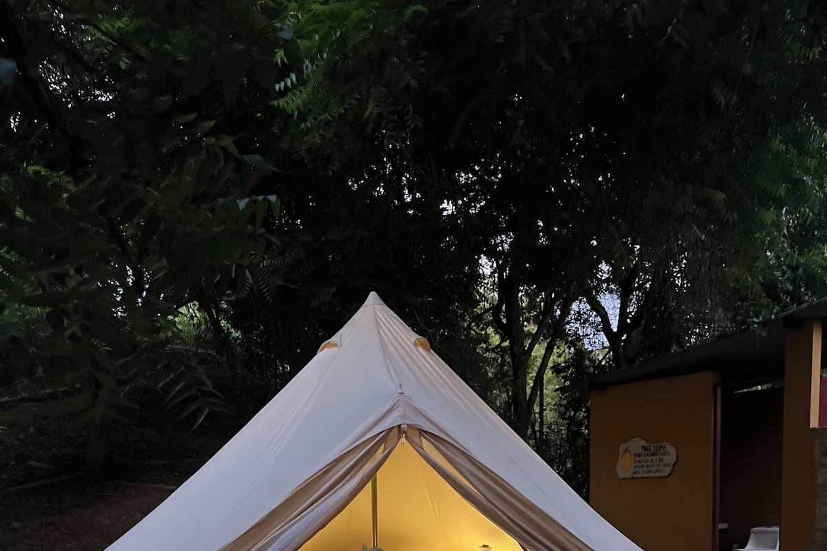 Una tienda de campaña con una cama en su interior, rodeada de árboles.