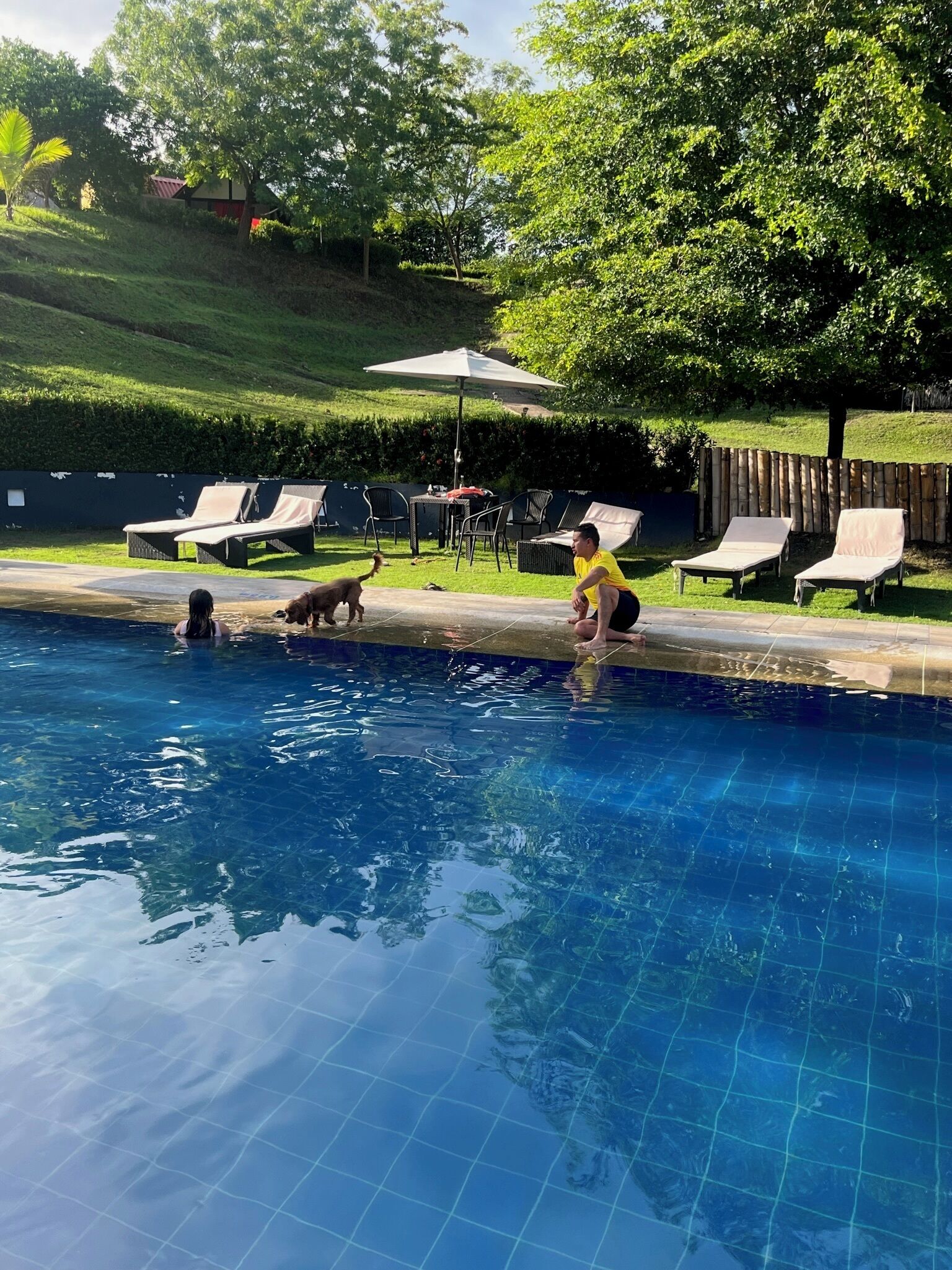 Una piscina al aire libre