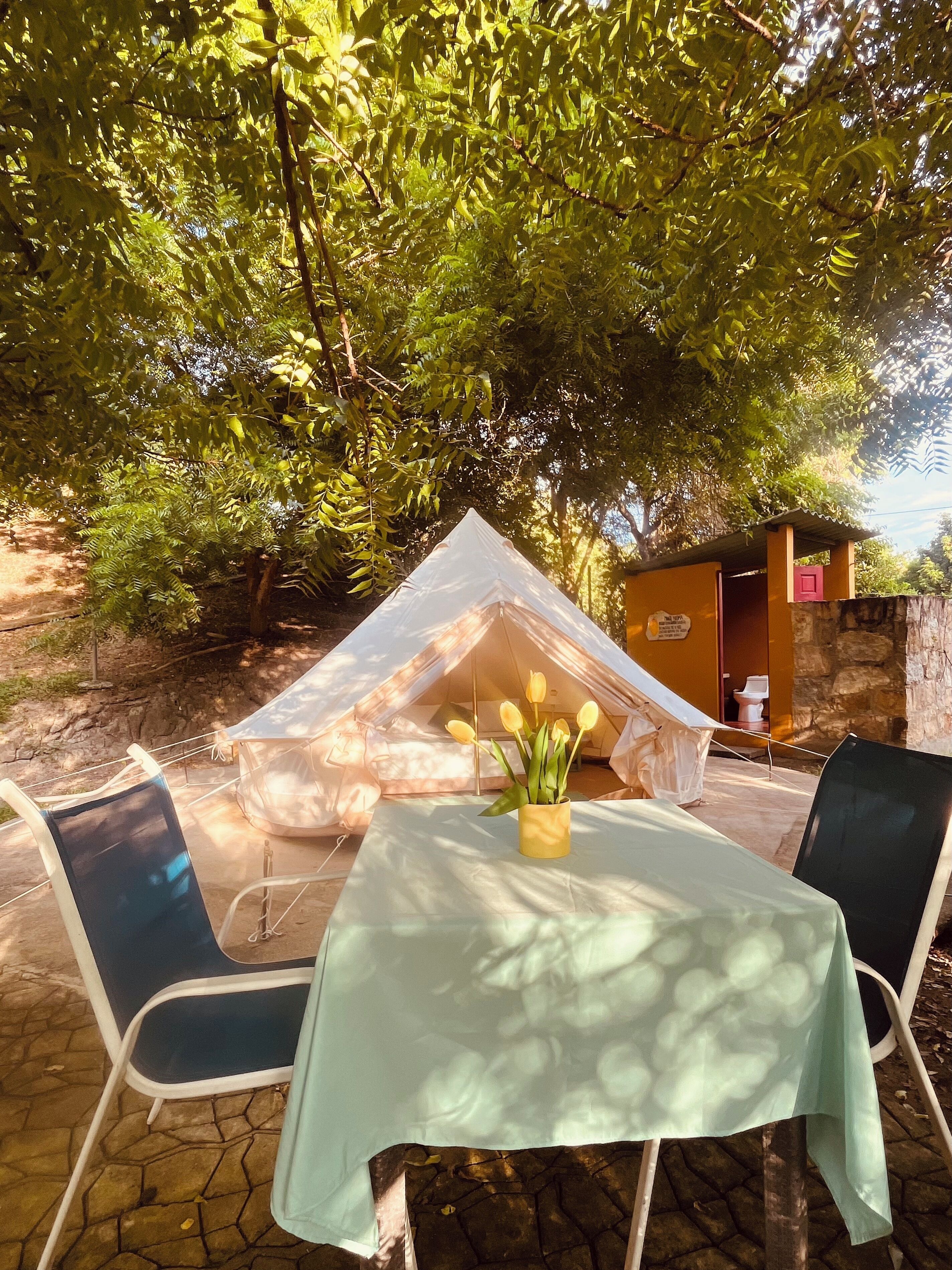 Telt – basic, 1 soverom