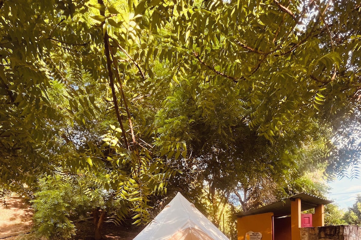 Telt – basic, 1 soverom