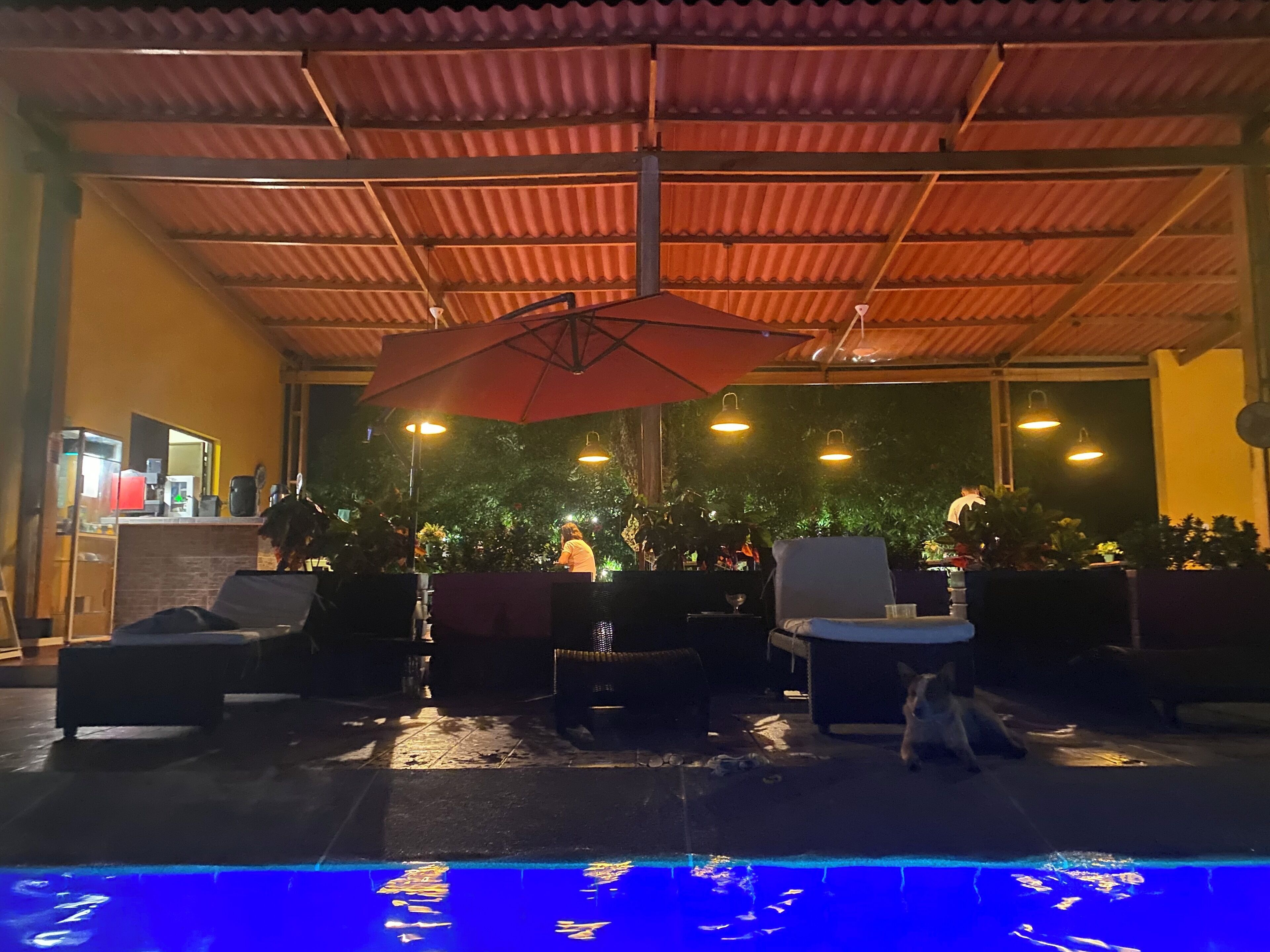 An outdoor pool area with a covered seating area, umbrellas, and a bar counter.