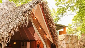 A thatched-roof structure with a red interior, a stone wall, and a paved entrance area. - Mangoo Glamping (Melgar)