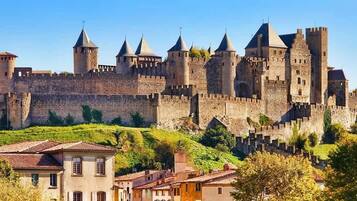 Un castillo histórico con múltiples torres y una muralla fortificada, rodeado de vegetación exuberante y edificios residenciales.