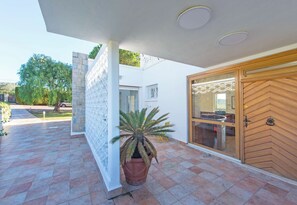 A modern building with a large potted plant, a wooden door, and a tiled patio.