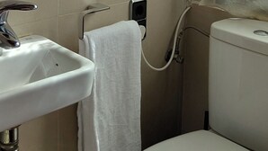 Serviettes fournies, savon, papier toilette