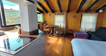 Penthouse-loft with natural light and sun all day overlooking the city center.