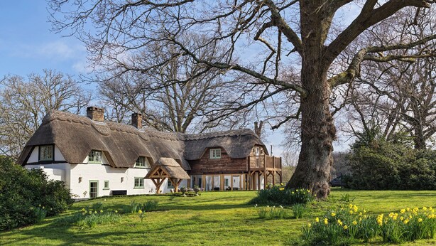 Ein traditionelles, reetgedecktes Haus mit einem großen Baum im Vordergrund.