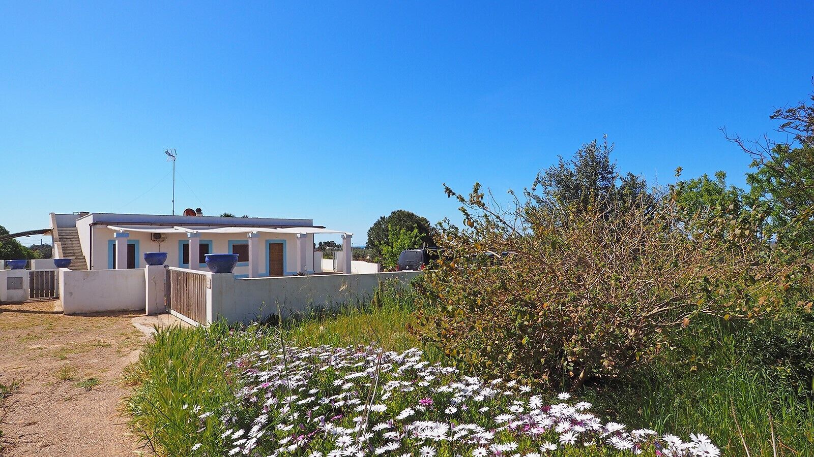 Parco della struttura