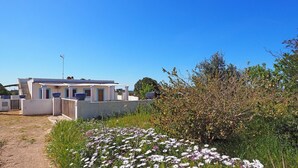 Property grounds - Villetta Certosina 1 -  Villa just a few meters from the sea (Alliste)