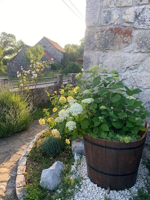 Détail de l’extérieur