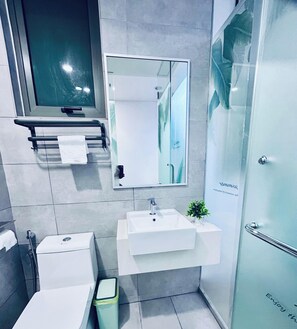 Regadera, secadora de cabello, bidet, toallas 