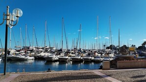 A marina with numerous sailboats docked, a flagpole with a flag, and a pedestrian walkway with palm trees. - Seafront apartment. All on foot (Saint-Cyprien)