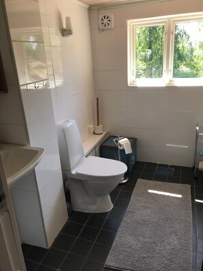 Shower, hair dryer