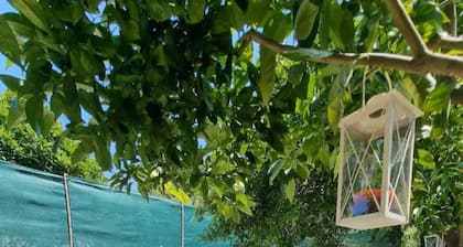 The Garden House in Paradisi