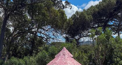 Familienfreundliches Glamping mit Gehweite zu drei Stränden