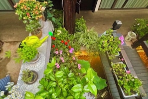 A variety of potted plants arranged on a table and along a pathway. - Banmu Fangtang Inn in Lijiang (Lijiang)