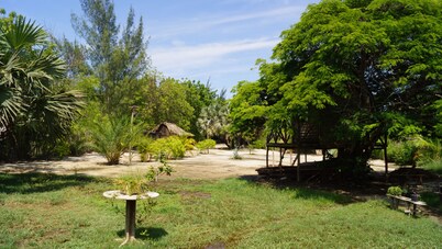 To rent superb T1, in a quiet environment, close to the sea