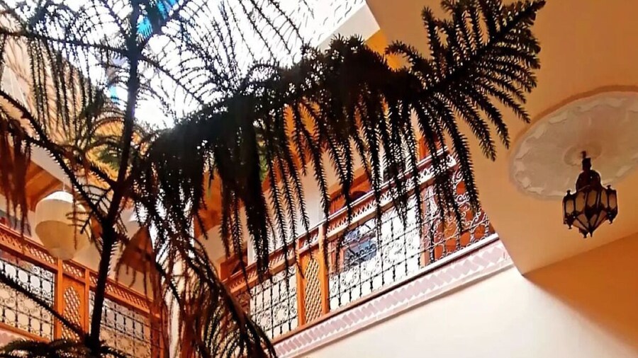 JENANADAM BY MEGOGESTION