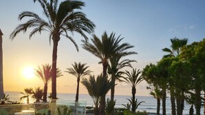 A resort with palm trees, a pool, and a view of the ocean at sunset.