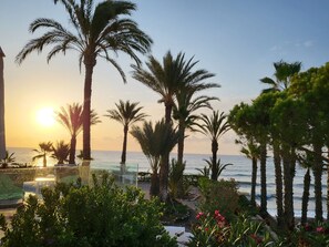 Property grounds - Fantastic finca right by the sea with infinity pool (Cuevas del Almanzora)