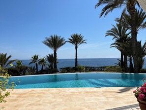 Una piscina con vista despejada al océano, rodeada de palmeras y un solárium con baldosas.