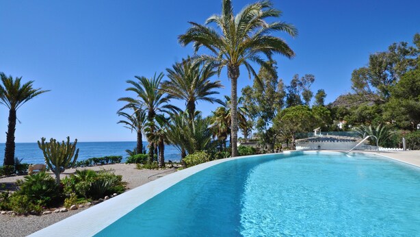 A pool with clear blue water, surrounded by palm trees and a view of the ocean.
