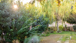 Un jardin avec différentes espèces de plantes et un sentier en pierre.