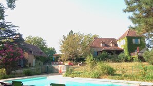 Ein Schwimmbecken mit Liegestühlen, umgeben von Häusern und Grünpflanzen.