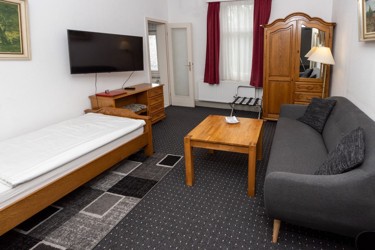 Una habitación con una cama, un sofá, un televisor, un armario de madera y un escritorio.