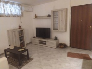 Smart TV, fireplace, books