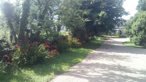 Un sendero de grava bordeado por exuberante follaje y flores rojas, que conduce a un edificio a lo lejos.