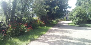 Property grounds - Pretty little cabin in the heart of the burren (Ballyvaughan)