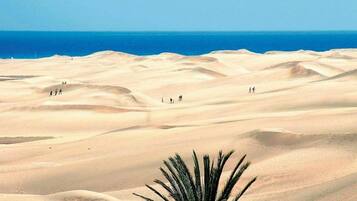 House | View from property