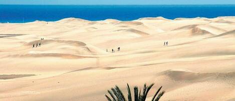 Maison | Vue depuis lâhĂ©bergement
