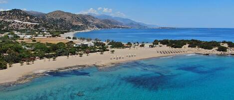 Playa