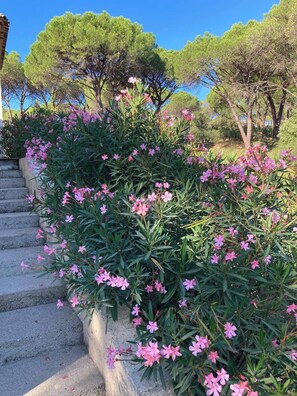Overnattingsstedets uteområder