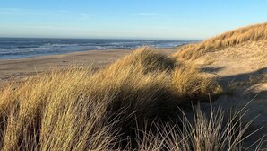 Een strand met duinen en golven.
