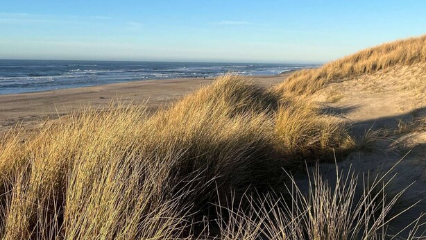 Een strand met duinen en de oceaan op de achtergrond.