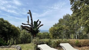 Zwei Liegestühle auf einer Rasenfläche, im Hintergrund ein großer Baum und eine Steinmauer.