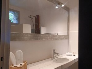 Regadera, secadora de cabello, jabón, papel de baño 
