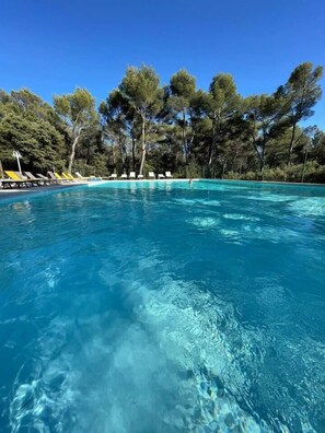 Ein klarer, blauer Pool, umgeben von Bäumen, mit Liegestühlen am Ufer.