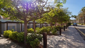 A paved walkway lined with trees and shrubs, leading to a building with a white facade and dark trim.