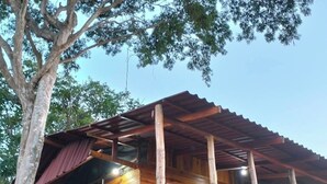 Una cabaña de madera con techo metálico, rodeada de árboles.