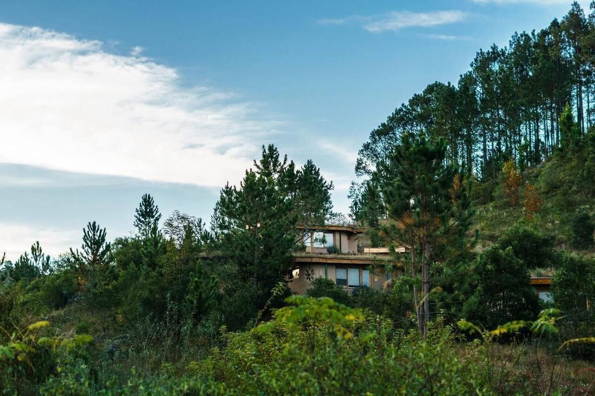 Una casa rodeada de un bosque frondoso y árboles altos.