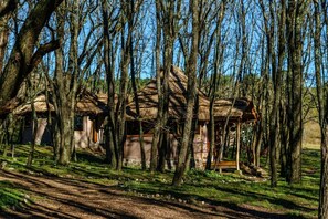 Hytte – comfort, hageutsikt | 1 soverom, dundyner og wi-fi (inkludert)