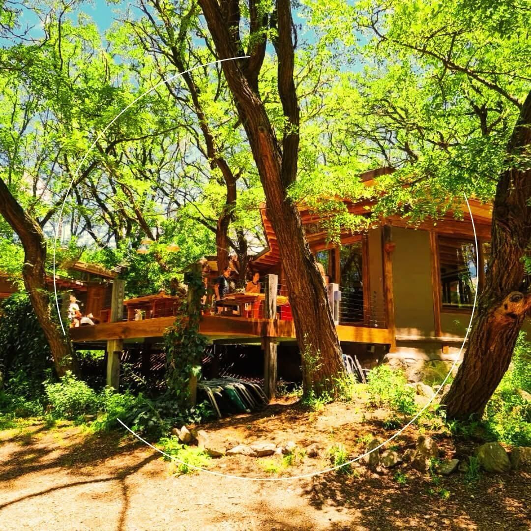 Alojamiento tipo casa en los árboles con terrazas exteriores, rodeado de abundante vegetación.