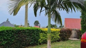 A residential area with a well-maintained lawn, a tall palm tree, and a red building in the background. - BLT Guest House, Kasese (Kasese)